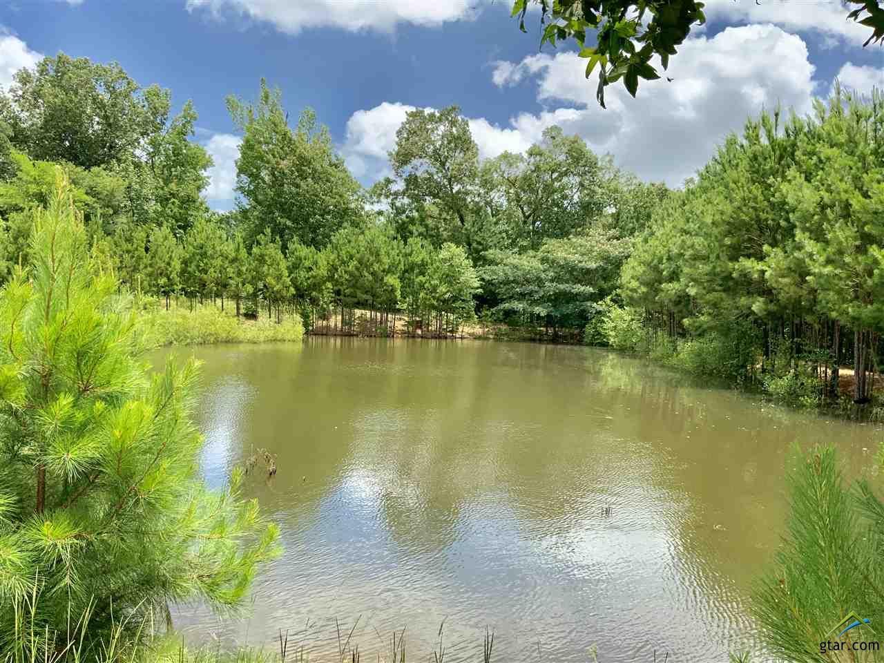 3418 US Highway 271 N, Gilmer, TX 75644